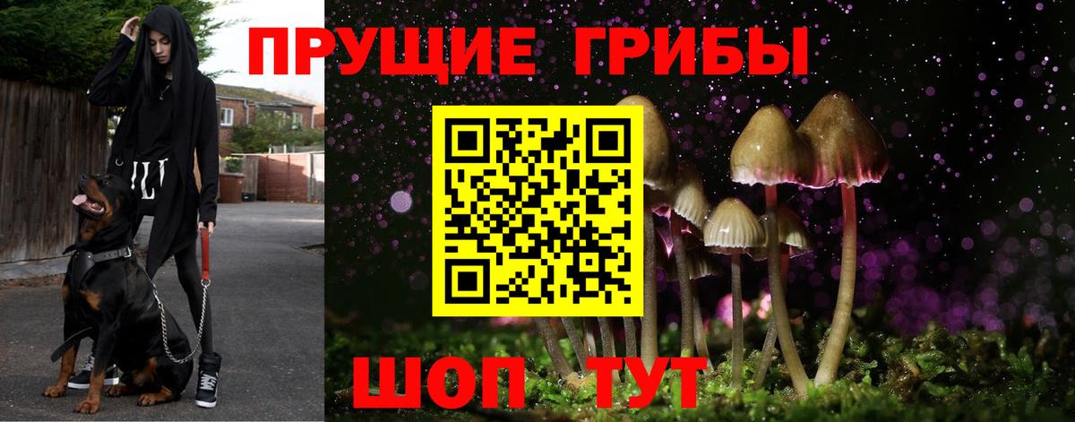 Галлюциногенные грибы прущие грибы  Вход с VPN  Галлюциногенные грибы Magic Shrooms  Керчь 